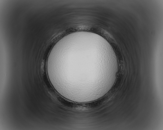 X0000083070550200703022159