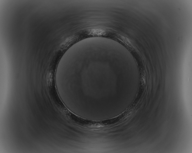 X0000083070551200703022159