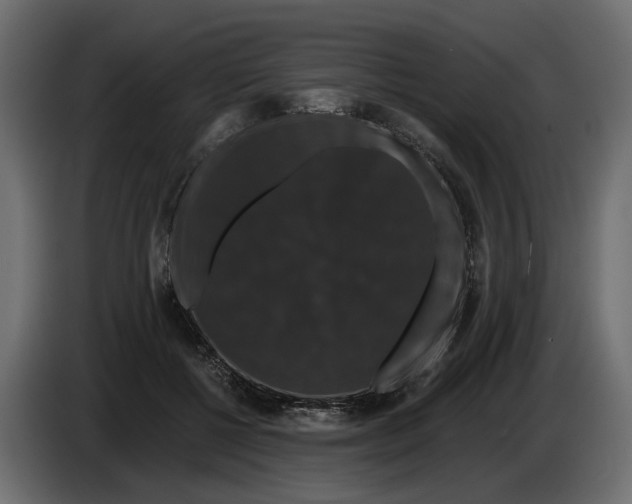 X0000083070552200703022159