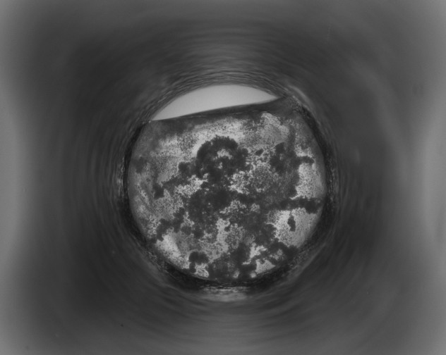 X0000083070553200703022159