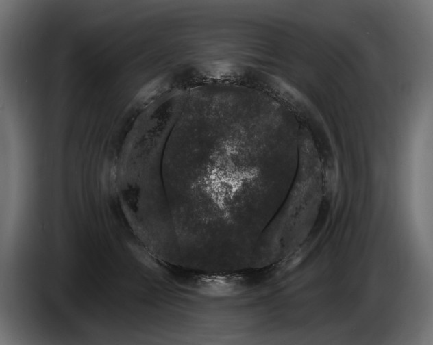 X0000083070558200703022159