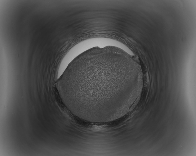 X0000083070560200703022159