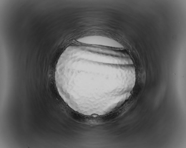 X0000083070561200703022159