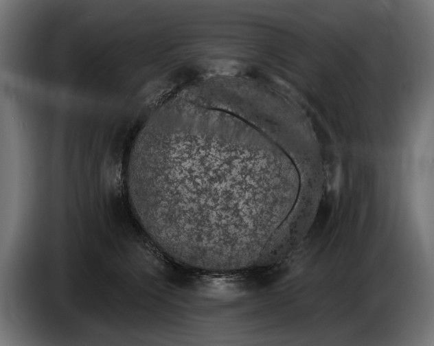 X0000083070564200703022159