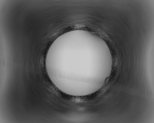 X0000083070565200703022159