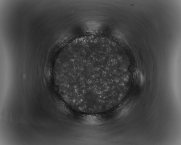 X0000083070566200703022159