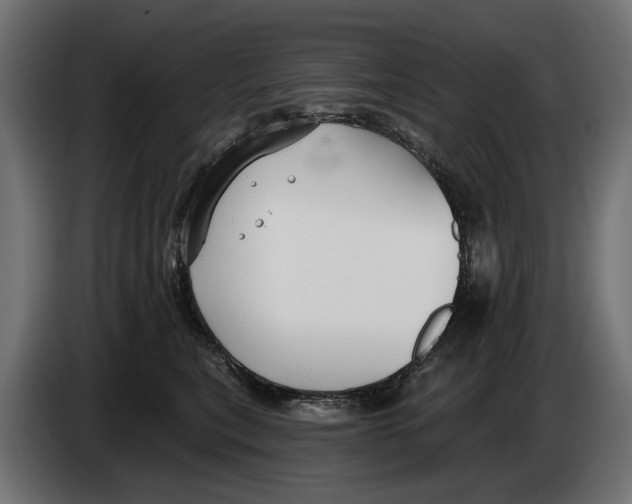 X0000083070567200703022159