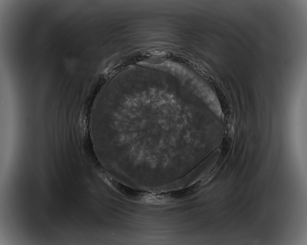 X0000083070568200703022159