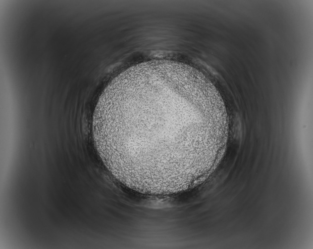 X0000083070569200703022159