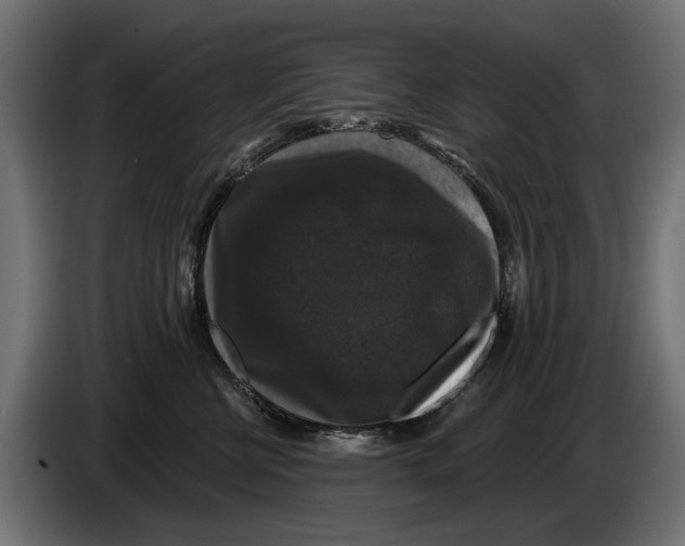 X0000083070570200703022159