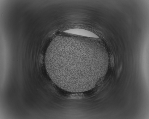 X0000083070571200703022159