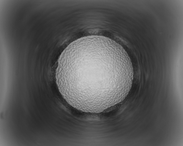 X0000083070572200703022159