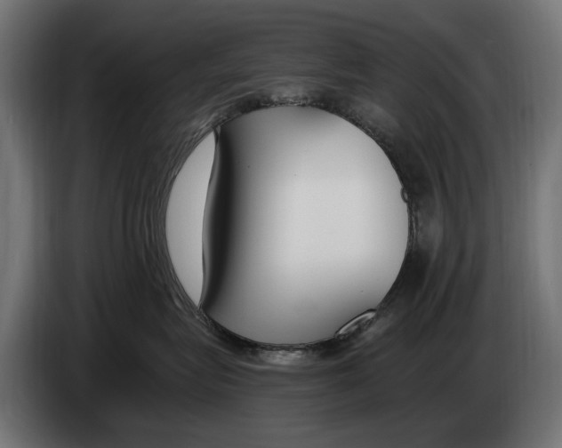 X0000083070575200703022159