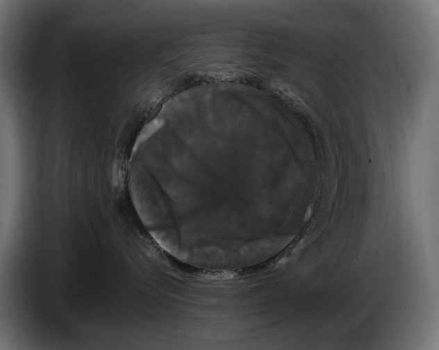 X0000083070576200703022159