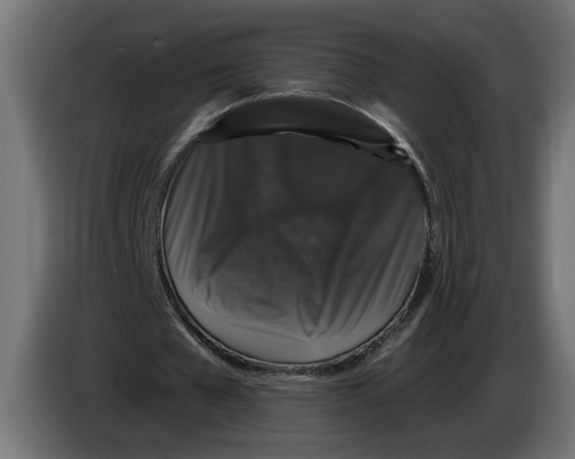 X0000083070577200703022158