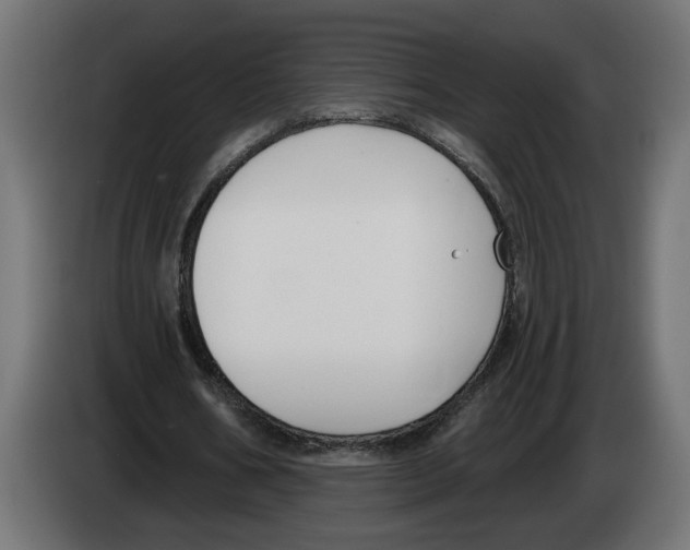 X0000083070578200703022158