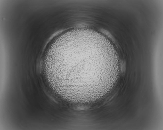 X0000083070579200703022158