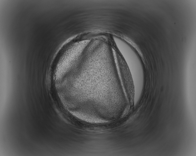 X0000083070580200703022158