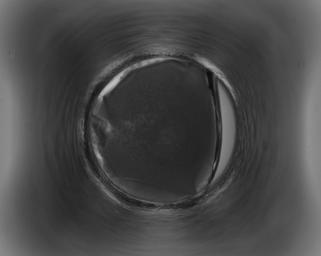 X0000083070581200703022158