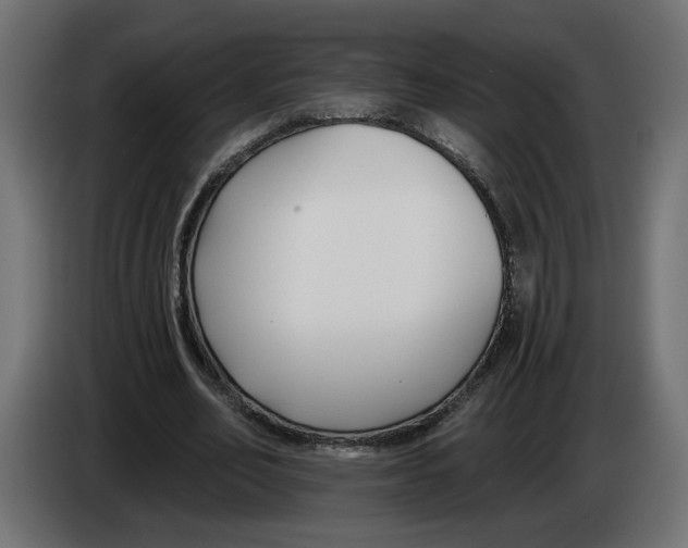 X0000083070582200703022158