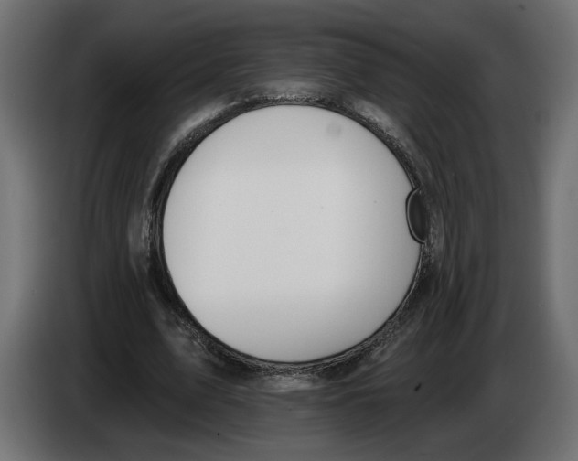 X0000083070583200703022158