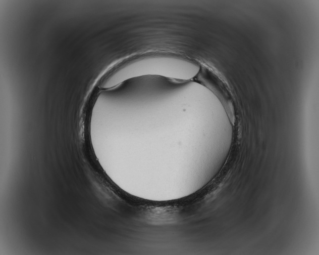 X0000083070584200703022158