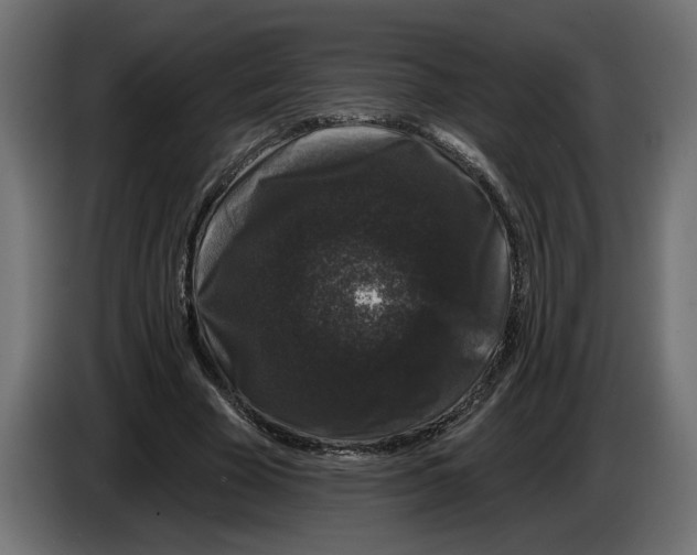 X0000083070585200703022158