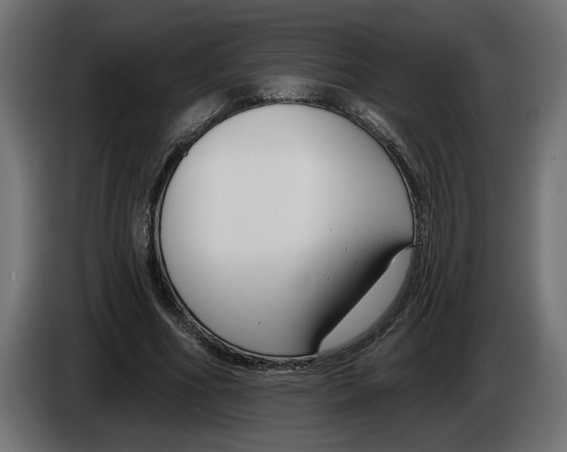 X0000083070586200703022158