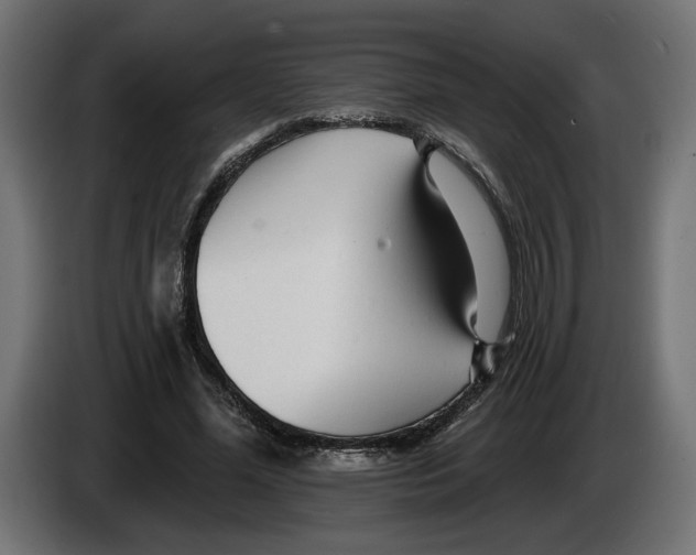 X0000083070588200703022158