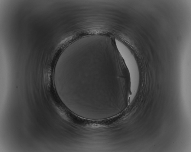 X0000083070590200703022158