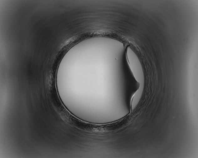 X0000083070591200703022158