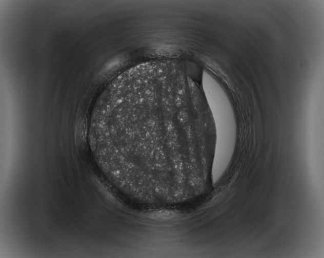 X0000083070593200703022158