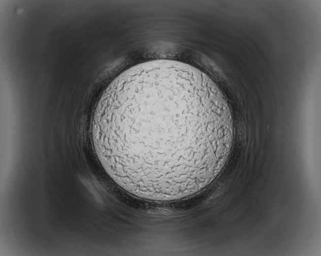 X0000083070594200703022158