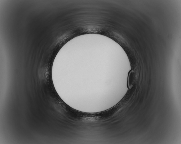 X0000083070595200703022158