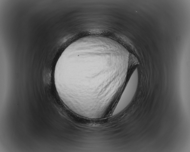 X0000083070596200703022158