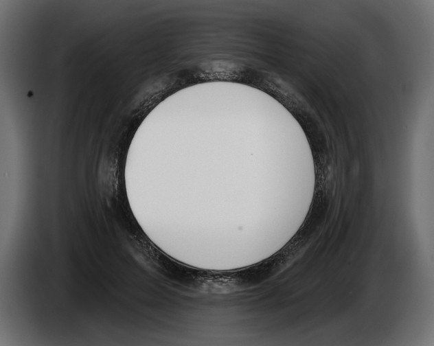 X0000083070599200703022158