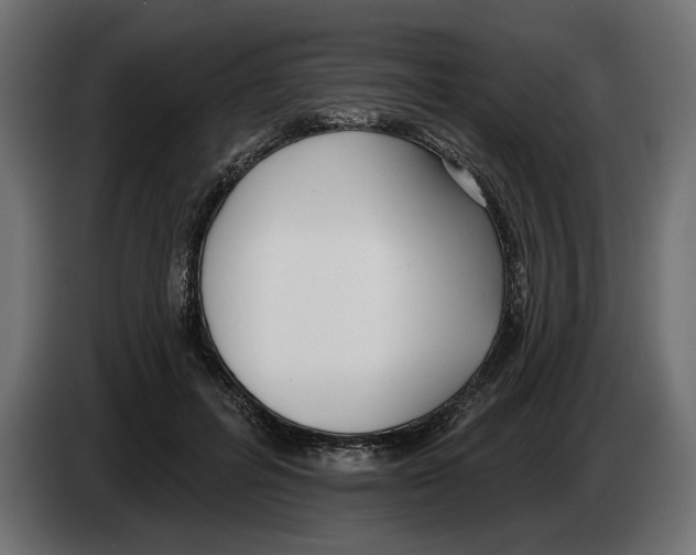 X0000083070600200703022158