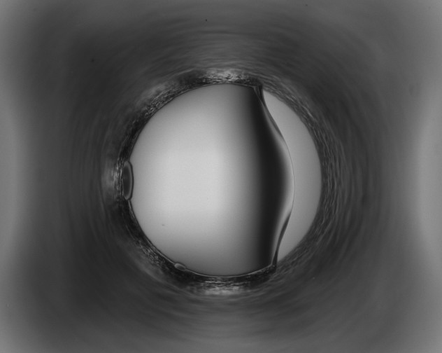 X0000083070601200703022158