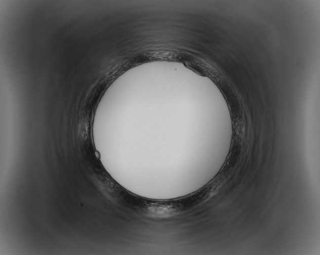 X0000083070602200703022158