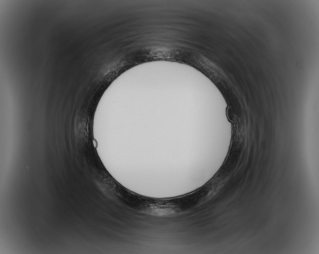 X0000083070603200703022158