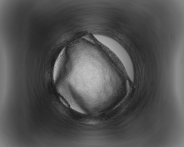 X0000083070604200703022158