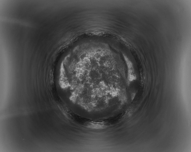 X0000083070606200703022158