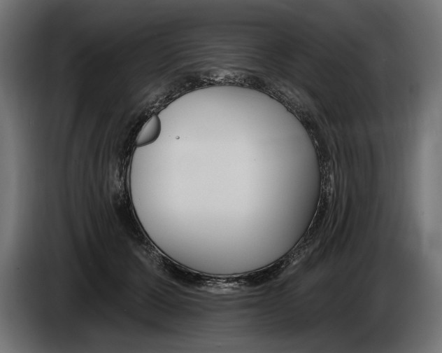 X0000083070607200703022158