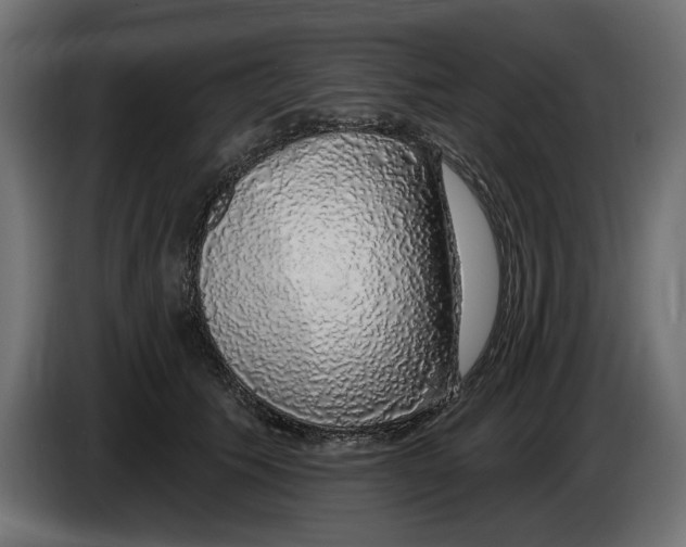 X0000083070609200703022158