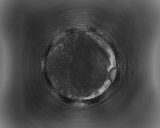 X0000083070610200703022158