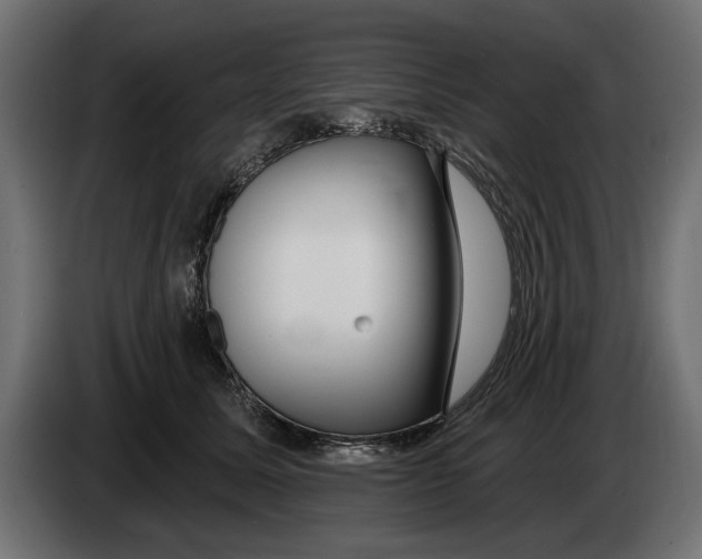 X0000083070611200703022158