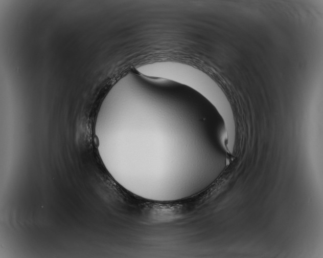 X0000083070613200703022158