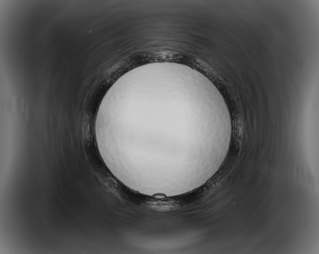 X0000083070615200703022158