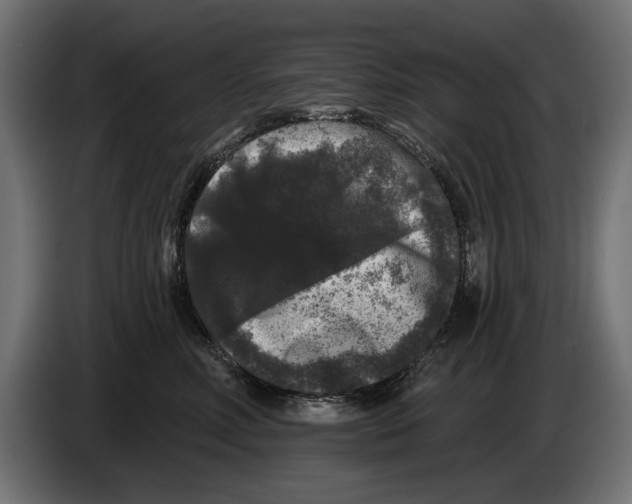 X0000083070618200703022158