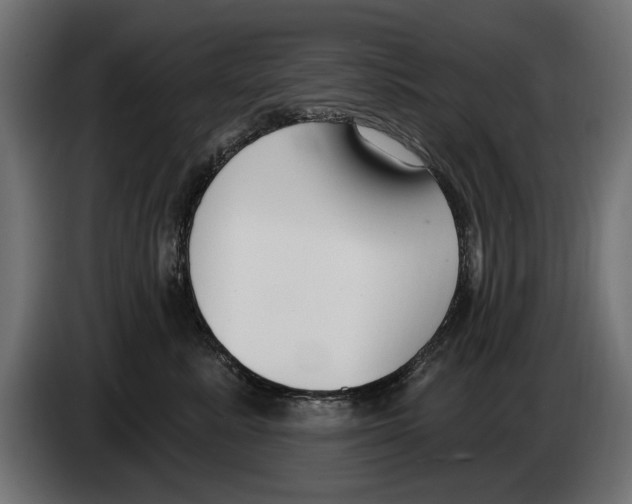 X0000083070619200703022158